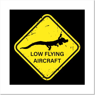 Low Flying Luck Dragon Posters and Art